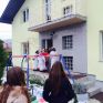 Img 7182