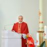 Img 9588